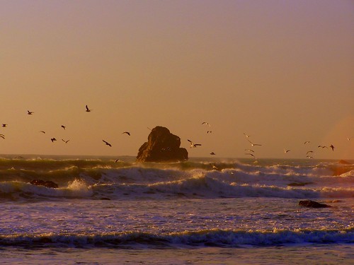 california sunset bird beach rocks waves pacificocean roadtrip2007 november2007 friendlychallenges friendlycomments