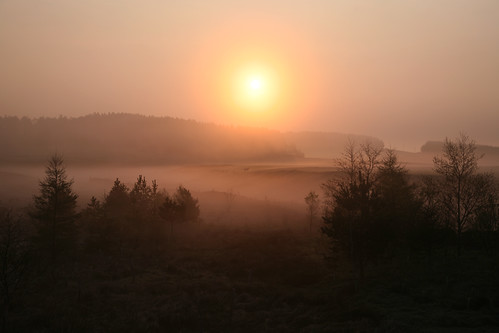 morning misty sunrise mistymorning canoneos5d