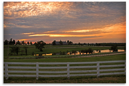 sunset sky reflection clouds pond farm lexington ky yarnalltonroad