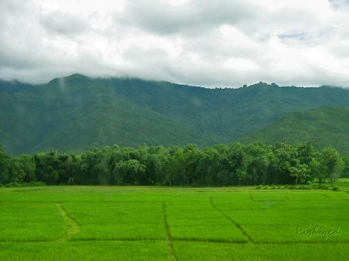 nepal clouds forest rice paddy hill farwest riceplantation squarepaddies greenpaddies