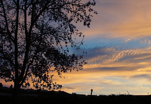 california morning tree silhouette clouds sunrise landscape sanjuancapistrano challengeyouwinner