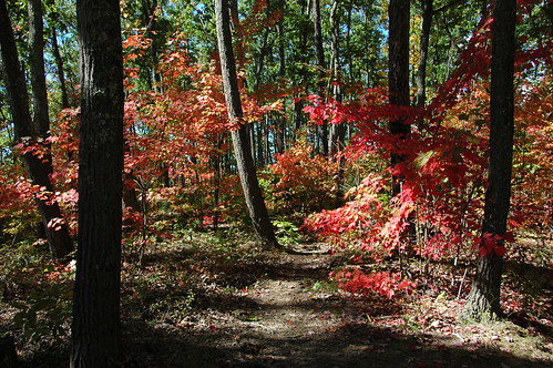 autumn fall redrivergorge