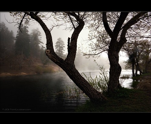 california lake mountains tree fog landscape angelesnationalforest lakejackson