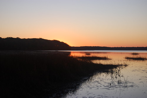 sunrise greatswamp wordenspond