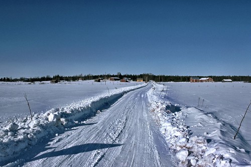 winter snow film analog finland vinter kodachrome lumi talvi snö terrascania honkajoki pitkäkuja