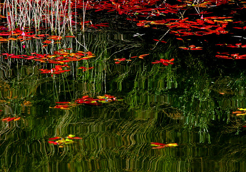 color water landscape picturesque bigbearlake aplusphoto