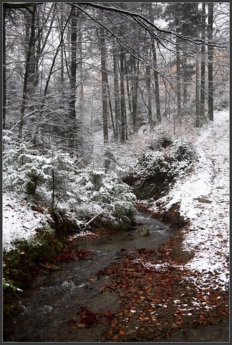 snow geotagged brenna śnieg beskidy naturesfinest vob silesianbromba geo:lat=4966315 geo:lon=1893065