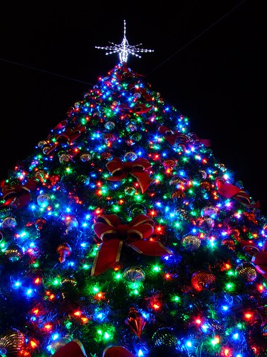 christmas xmas tree night lights finepix s5200 fujifilm lakesidevillage