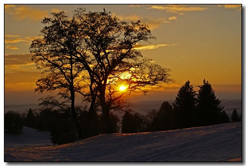 winter sunset snow tree moscow idaho golfcourse universityofidaho palouse naturesfinest aplusphoto