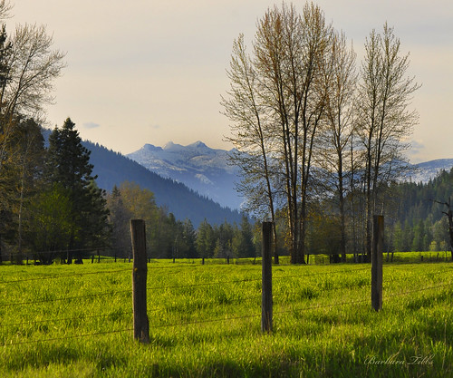 trees mountains fence evening spring nikon meadow saturday cliche hcs d90 selkirks