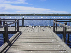 Lake Joondalup