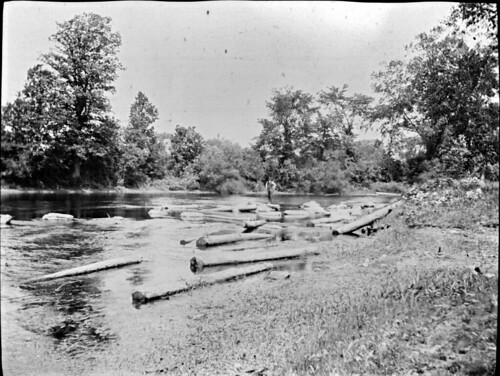 trees timber rivers 1900s
