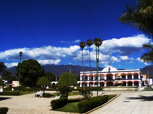 plaza blue sky brown white mountains tree brick grass leaves clouds palms square trimmed colonial lawn arches walkway hedge views oaxaca suburb tall lamps benches cerros municipal palacio eltule manicured santamariadeltule