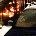 overnight   its snowing!    MG 9375