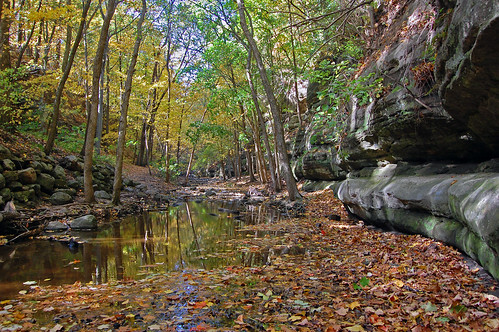 reflection fall water leaves rock stream canyon dell lapstrake