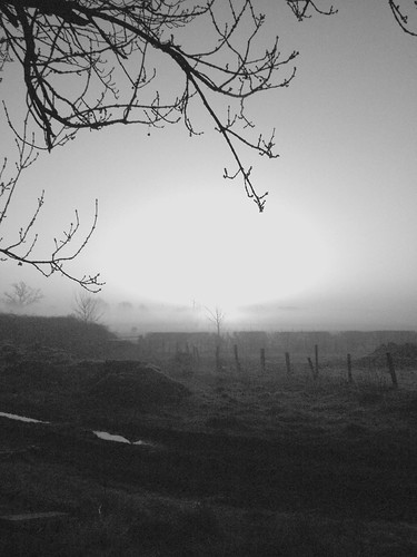 morning blackandwhite bw silhouette misty sunrise earlymorning cheslynhay