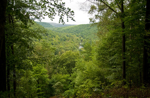 statepark camping trees hiking pennsylvania backpacking schellgames oilcreekstatepark gerardhikingtrail