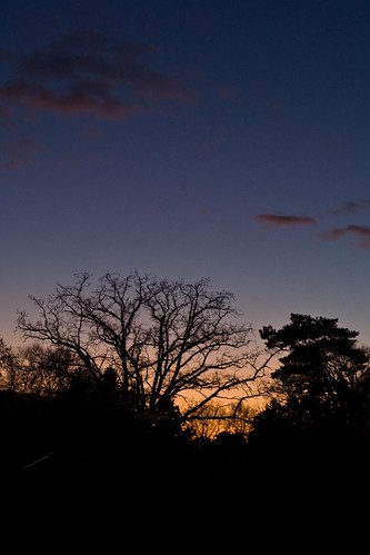 sunset sky silhouette sunrise germany abend sonnenuntergang himmel dämmerung sputnik 2008 brandenburg backlighting gegenlicht schulzendorf bremerstrase