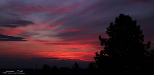 morning pink orange cloud sun color tree weather silhouette sunrise canon king horizon steve 7d
