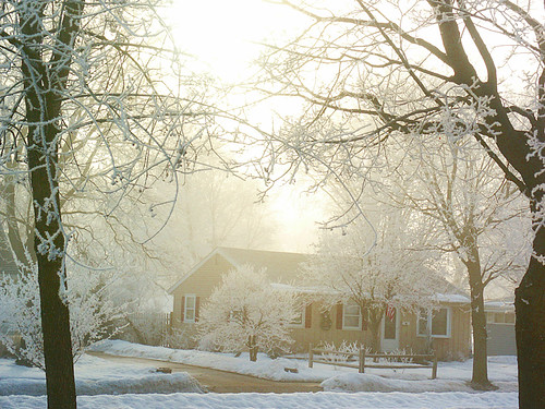 trees winter wisconsin sunrise frost hoarfrost