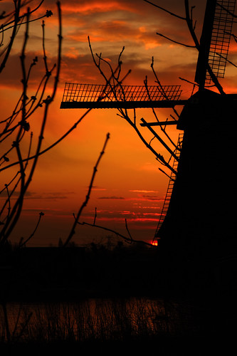 morning trees sky sun holland mill water clouds sunrise canon nederland thenetherlands canonef2470mmf28lusm kinderdijk zuidholland southholland nieuwlekkerland canoneos50d canon50d mygearandme mygearandmepremium mygearandmebronze mygearandmesilver mygearandmegold outstandingromanianphotographers mygearandmeplatinum mygearandmediamond