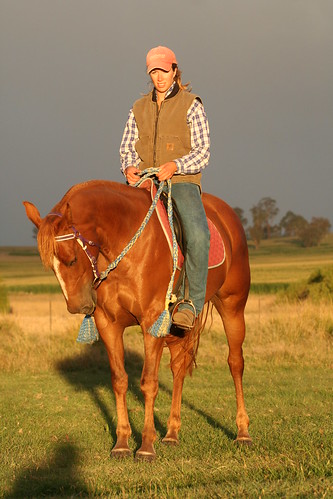sunset horse sunlight mare jude nsw tuesday chestnut 2008 quarterhorse judeshouse rangersvalley