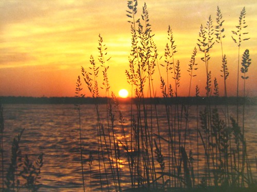 sunset orange lake water grass lakemichigan doorcounty moonlightbay abigfave impressedbeauty aplusphoto