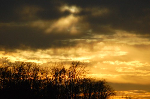 trees sunset sun silhouette pittsburgh