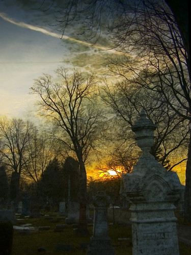 morning trees sky sun graveyard clouds sunrise cemetary tombstone