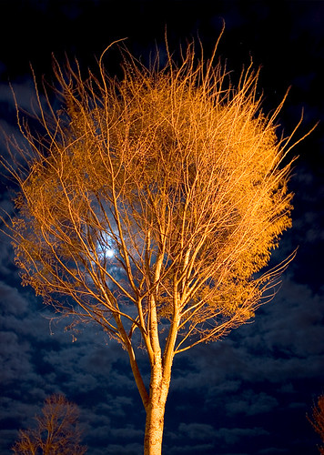nightphotography moon oregon eugene universityoforegon spencerview