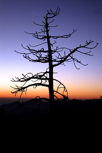california sunset silhouette dusk southerncalifornia sangabrielmountains angelesnationalforest usfs angelescresthighway threepoints