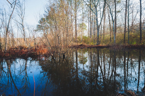 atl atlanta cochranshoals localparks nps parks beaver pond reflection trees