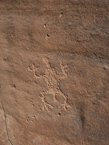 arizona desert witch wells lizard petroglyph