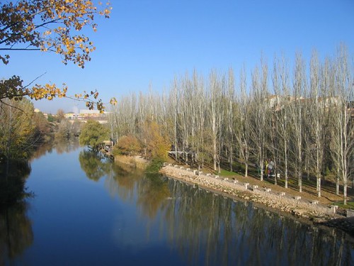 fall río river otoño duero