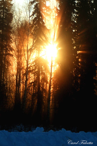 winter cold alaska sunrise fairbanks suset akfirebug athousandwordsus falcetta platinumphoto aplusphoto