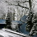 winter wonderland / home    MG 9439