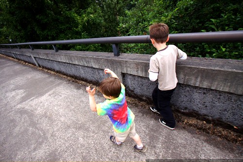 brothers crossing the bridge at the lake oswego dam    MG 7594