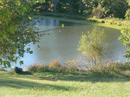 landscape illinois pond scenery winery hedman