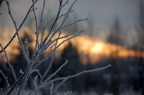 winter frost sweden sunsets northernsweden