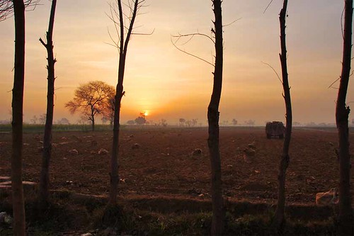 trees pakistan sky tree nature rural sunrise d50 outdoors nikon village outdoor punjab 18200vr anawesomeshot diamondclassphotographer