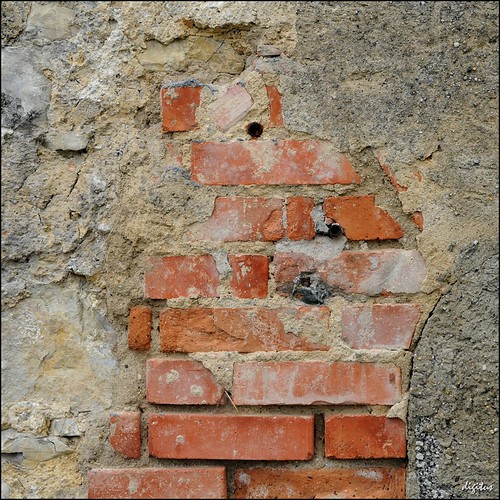 red rot wall wand bricks nikkor surfaces mauer d300 rhizome oberflächen badenwuerttemberg schwaebischealb 1685mmf3556gvr 1685vr