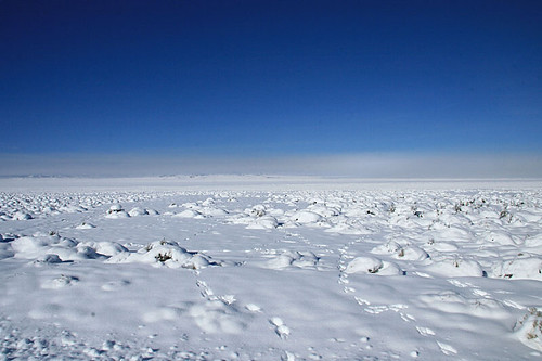 winter 15fav usa snow southwest 510fav landscape utah nevada club100 100vistas instantfave vogonpoetry nopin