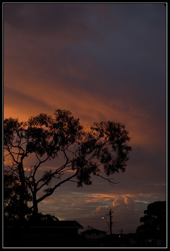blue sunset orange cloud tree grey pentax ds ist