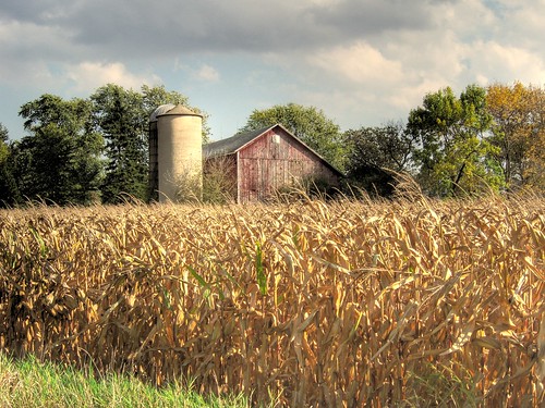 autumn wisconsin rural barns farms dover racinecounty doverwisconsin newagecrapphotography