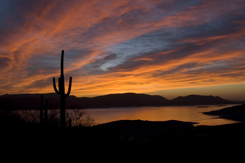 arizona cactus plants sun lake sunrise landscape dawn desert pleasant lakepleasant nikkor18200mm worldbest
