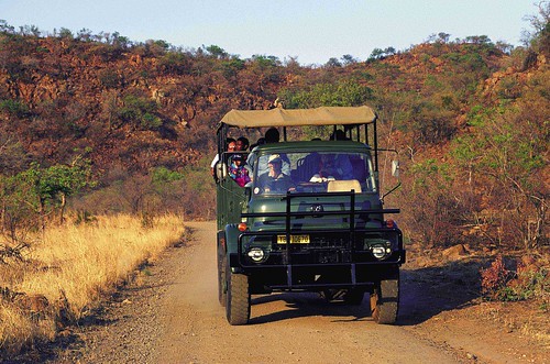 africa park game west southafrica drive north national gamedrive pilanesburg southafricantourism