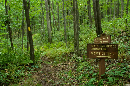 statepark camping trees hiking pennsylvania trail backpacking trailsign schellgames oilcreekstatepark gerardhikingtrail