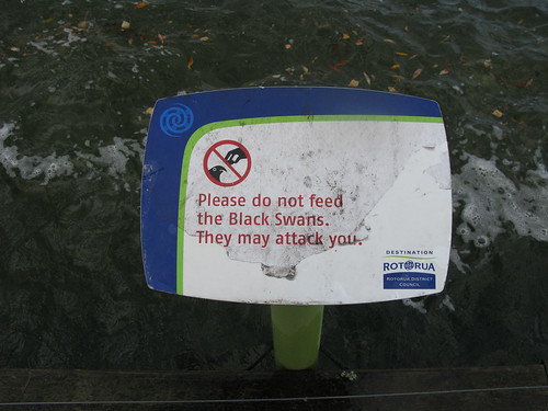please do not feed the black swans