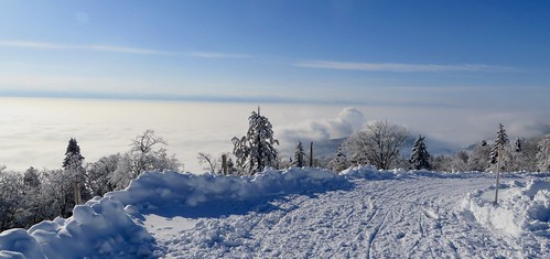 winter snow fatbike ride 11022017 road climb view alps