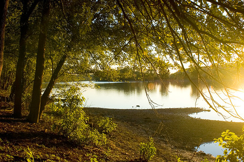 trees sunset nikond50 missouri lensflare riverbank osageriver nikkor24mmf28 paintedrockconservationarea westphaliamissouri
